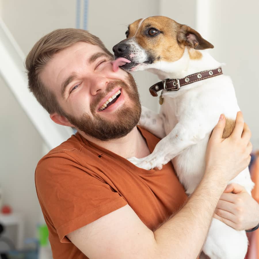 Taşınma Sırasında Çocuklar ve Evcil Hayvanlarla Başa Çıkma : Kapak Görseli